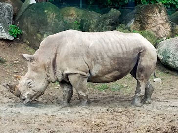 群馬サファリパークに投稿された画像（2021/8/18）