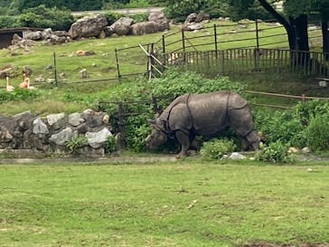 秋吉台自然動物公園 サファリランドに投稿された画像（2021/8/18）