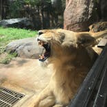 天王寺動物園に投稿された画像（2021/8/18）