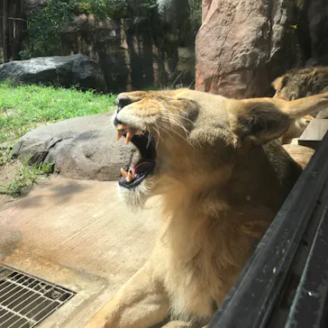 天王寺動物園に投稿された画像（2021/8/18）