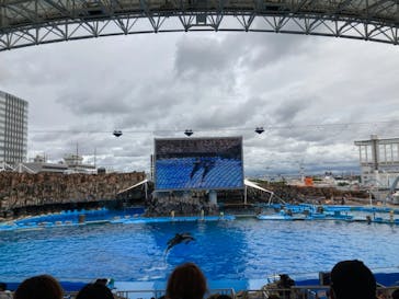 名古屋港水族館に投稿された画像（2021/8/18）