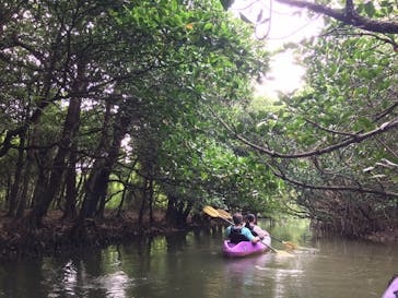 CHOROに投稿された画像（2021/8/18）