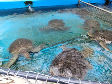 株式会社Gに投稿された画像（2021/8/18）