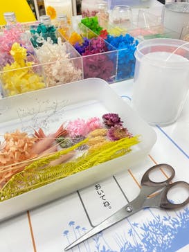 ずこうしつ〜sugamo〜に投稿された画像（2021/8/18）