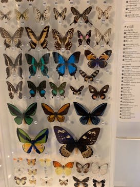 国立科学博物館に投稿された画像（2021/8/18）