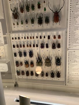 国立科学博物館に投稿された画像（2021/8/18）