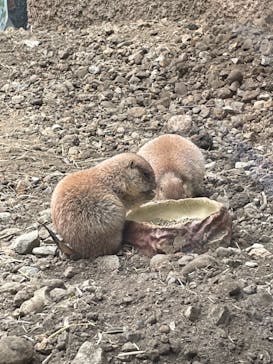 那須どうぶつ王国に投稿された画像（2021/8/18）
