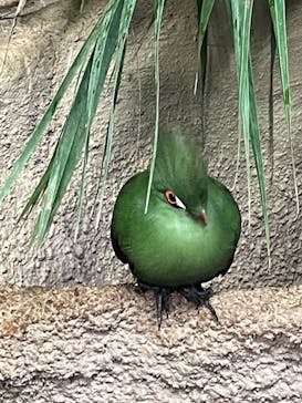 那須どうぶつ王国に投稿された画像（2021/8/18）