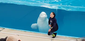 横浜・八景島シーパラダイスに投稿された画像（2021/8/18）