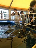 越前松島水族館に投稿された画像（2021/8/18）