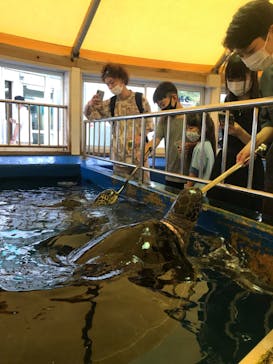 越前松島水族館に投稿された画像（2021/8/18）