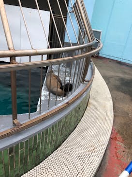 南知多ビーチランド＆南知多おもちゃ王国に投稿された画像（2021/8/18）