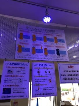 南知多ビーチランド＆南知多おもちゃ王国に投稿された画像（2021/8/18）