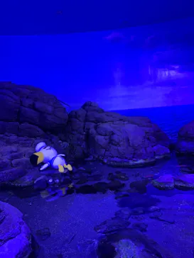 横浜・八景島シーパラダイスに投稿された画像（2021/8/18）