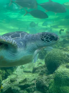 横浜・八景島シーパラダイスに投稿された画像（2021/8/18）