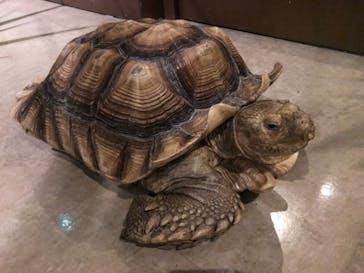 Moff animal world MARK IS みなとみらい店に投稿された画像（2021/8/18）