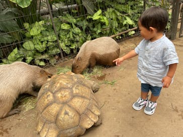 神戸どうぶつ王国に投稿された画像（2021/8/18）