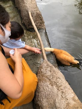 神戸どうぶつ王国に投稿された画像（2021/8/18）
