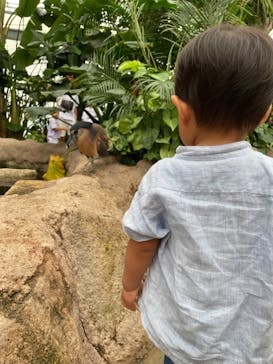 神戸どうぶつ王国に投稿された画像（2021/8/18）