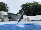 九十九島水族館海きららに投稿された画像（2021/8/18）