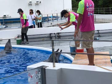 九十九島水族館海きららに投稿された画像（2021/8/18）