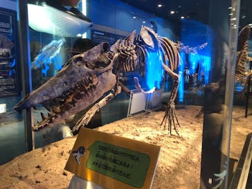 名古屋港水族館に投稿された画像（2021/8/18）