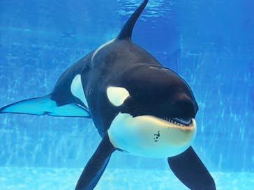名古屋港水族館に投稿された画像（2021/8/18）