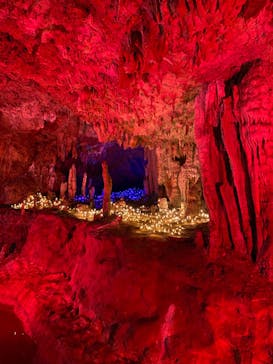 石垣島鍾乳洞に投稿された画像（2021/8/18）