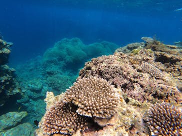 石垣島 ADVENTURE PiPi（イシガキジマアドベンチャーピピ）に投稿された画像（2021/8/18）