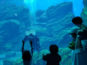 仙台うみの杜水族館に投稿された画像（2021/8/18）