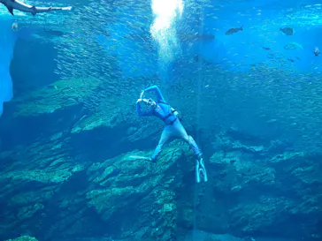 仙台うみの杜水族館に投稿された画像（2021/8/18）