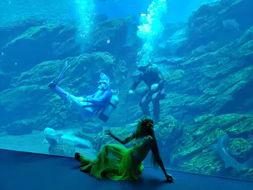仙台うみの杜水族館に投稿された画像（2021/8/18）