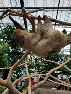 神戸どうぶつ王国に投稿された画像（2021/8/18）