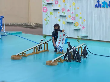 横浜・八景島シーパラダイスに投稿された画像（2021/8/18）