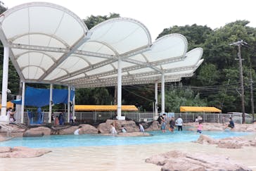 志摩市浜島磯体験施設 海ほおずきに投稿された画像（2021/8/18）