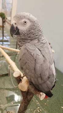 Moff アニマル カフェ イーアス 高尾店に投稿された画像（2021/8/18）