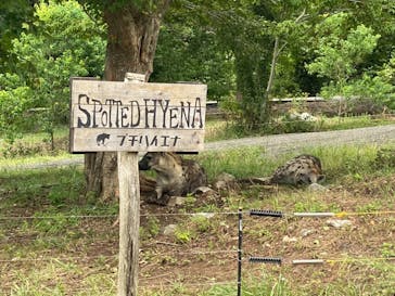 秋吉台自然動物公園 サファリランドに投稿された画像（2021/8/18）