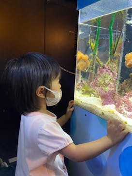 京都鉄道博物館×京都水族館に投稿された画像（2021/8/19）