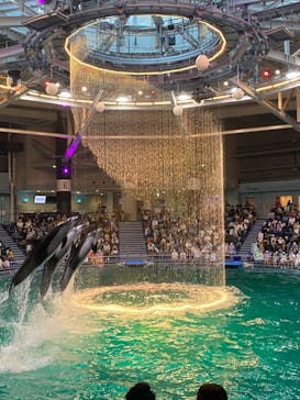 マクセル アクアパーク品川に投稿された画像（2021/8/19）