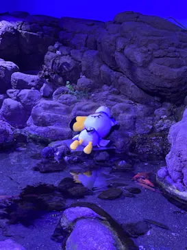 横浜・八景島シーパラダイスに投稿された画像（2021/8/19）