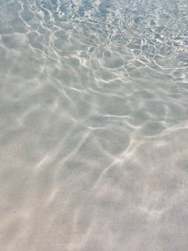 国営昭和記念公園 秋の夜散歩に投稿された画像（2021/8/19）