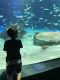 サンシャイン水族館に投稿された画像（2021/8/19）