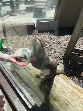 横浜・八景島シーパラダイスに投稿された画像（2021/8/19）