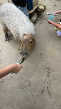 神戸どうぶつ王国に投稿された画像（2021/8/19）