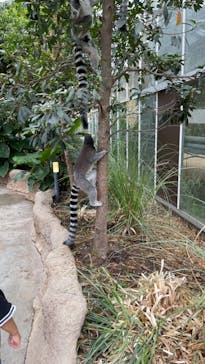 神戸どうぶつ王国に投稿された画像（2021/8/19）