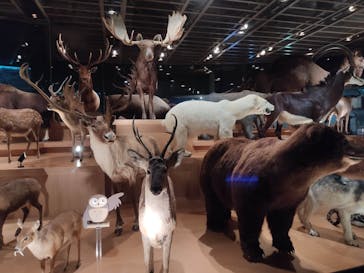 国立科学博物館に投稿された画像（2021/8/19）