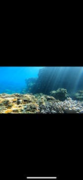 青の洞窟専門店　沖縄ダイビングショップ和に投稿された画像（2021/8/19）