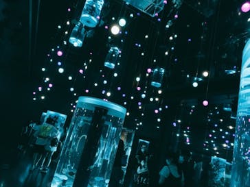 マクセル アクアパーク品川に投稿された画像（2021/8/19）