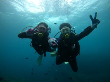 武藤潜水に投稿された画像（2021/8/19）