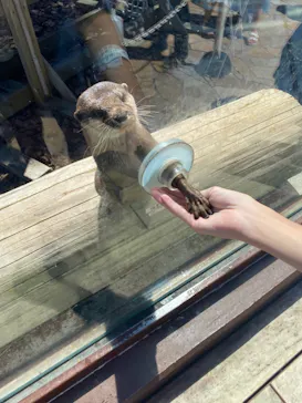 横浜・八景島シーパラダイスに投稿された画像（2021/8/19）